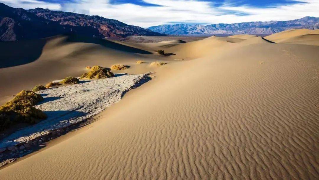 比塞尔是西撒哈拉沙漠中的一颗明珠,每年有数以万计的旅游者来到这里.