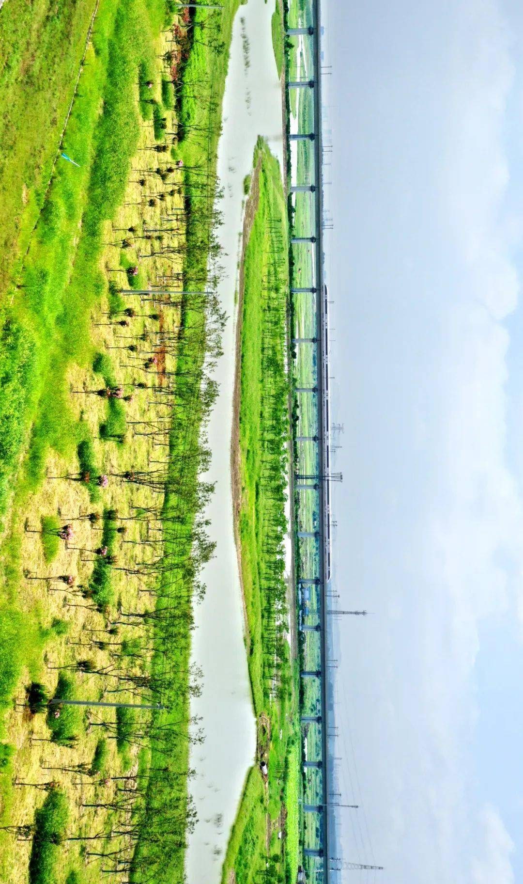 郭如琦 摄肥东龙栖地湿地葛庆国 摄巢湖市柘皋河省级湿地公园桑玲 摄