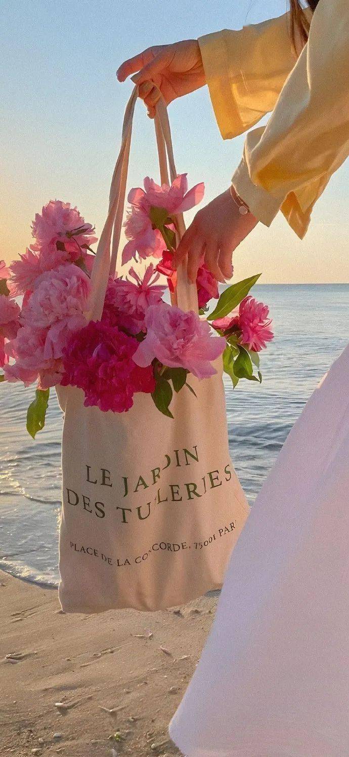 壁纸极好看的高质量手机壁纸