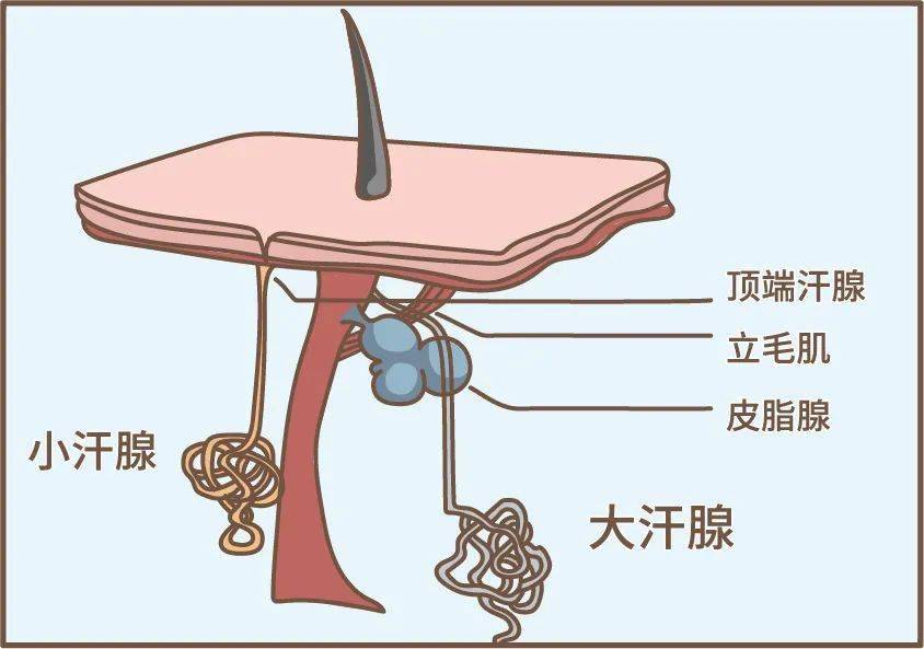 科學實用的衛生健康資訊