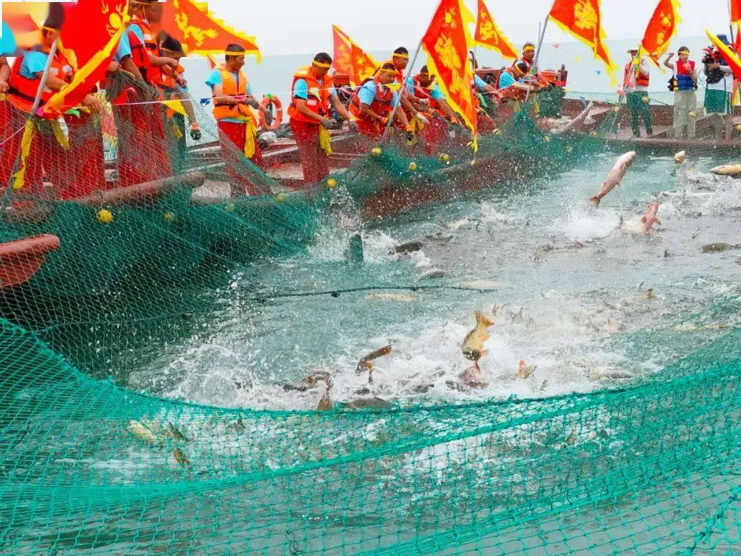 丰收捕鱼季新疆博湖县第十五届开湖季系列活动在博斯腾湖大河口景区