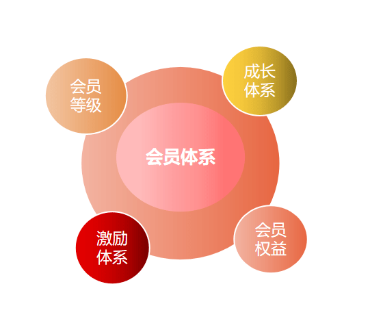 干货分享从0到1搭建会员体系