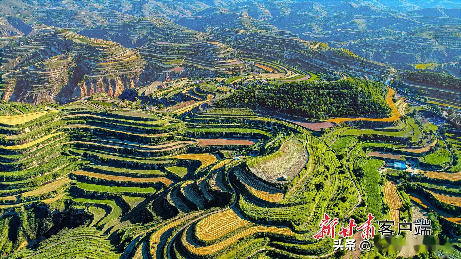 庆城县梯田如锦绣_桐川乡_王启宁_甘肃