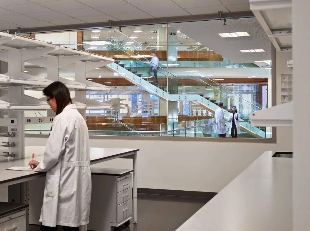 案例西雅图艾伦脑科学研究所perkinswill