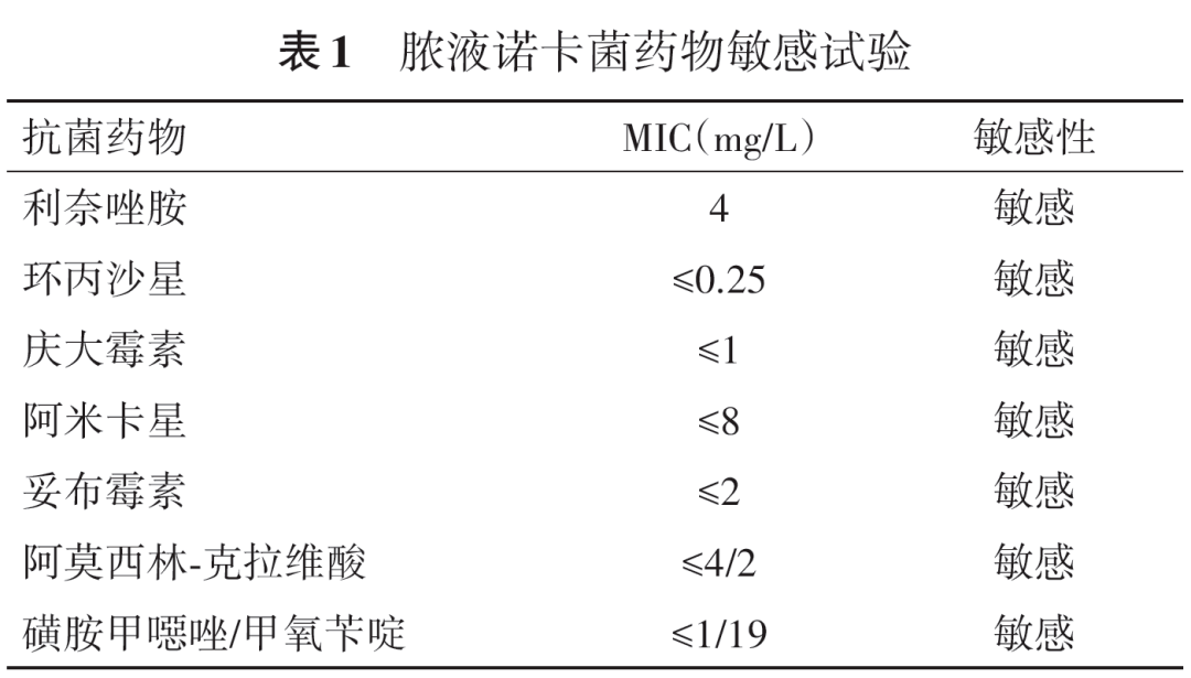 病例报告脓液诺卡菌肺部感染1例