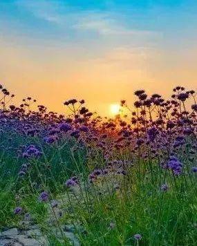 高铁游记 | 乘着高铁游宿迁,骆马湖的仲夏沙滩落日向你发出邀请!