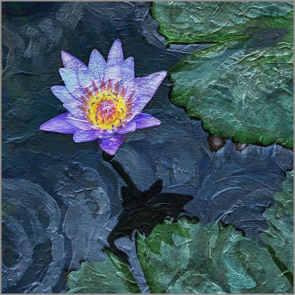 会员佳作 | 石广智:荷塘印象_摄影_作品_油画
