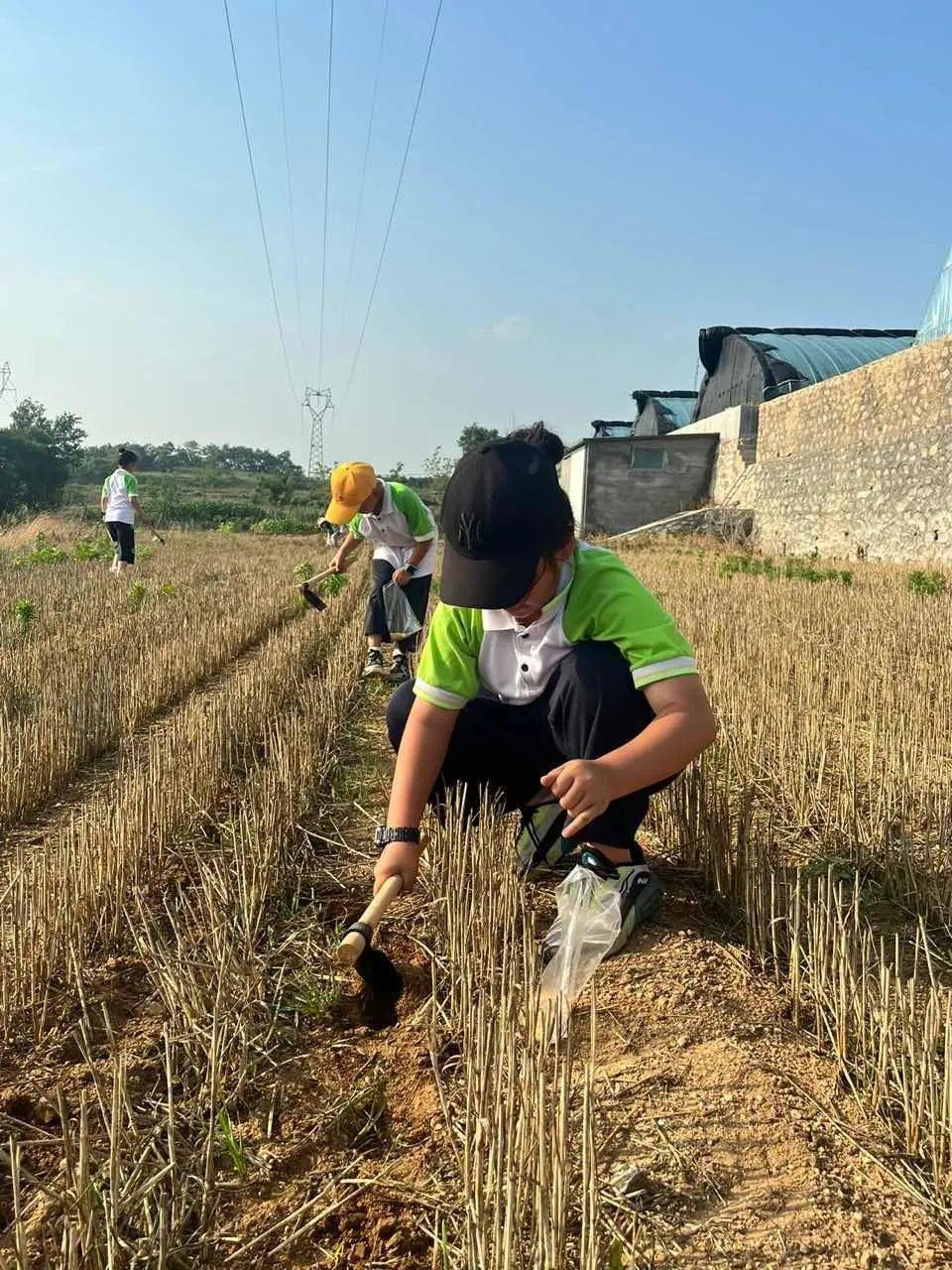 【成长·家校】小蜜蜂爱劳动 勤播种享收获——蜊小一五班小农人参与