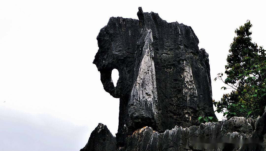 在雄奇险秀幽的石林中找寻您的阿诗玛