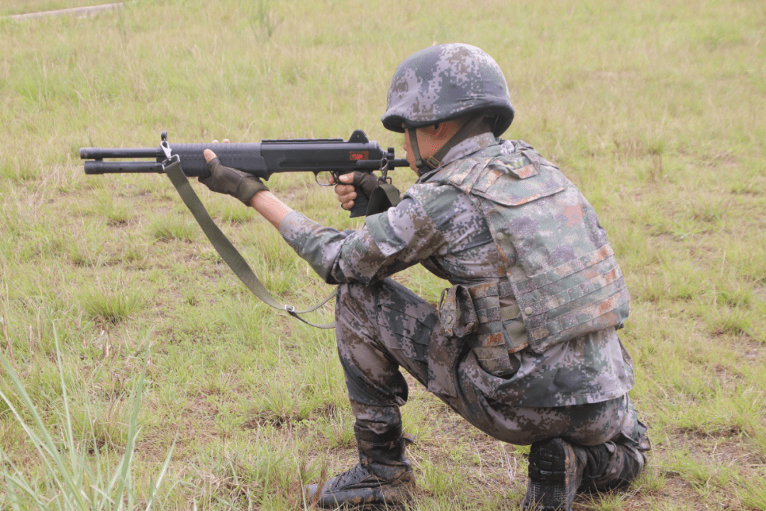 09式步枪自动步枪图片