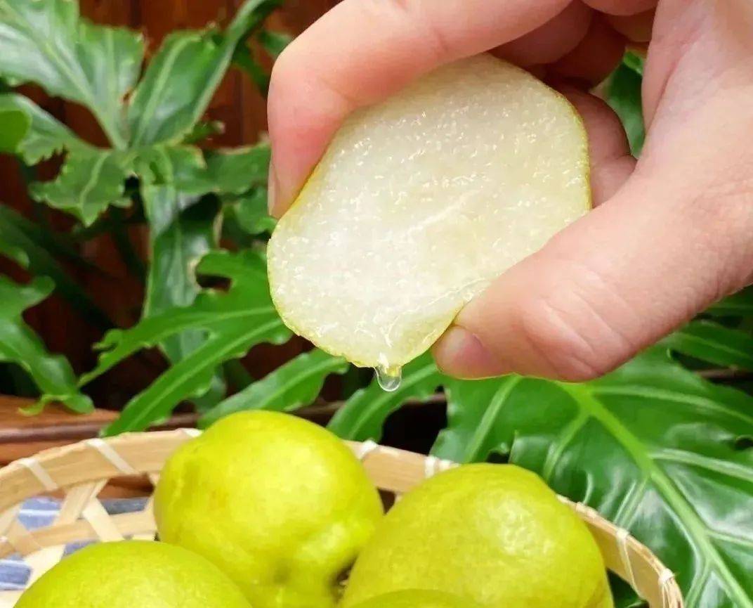 这神仙口感,吃一口就忘不了_香梨_梨子_多汁