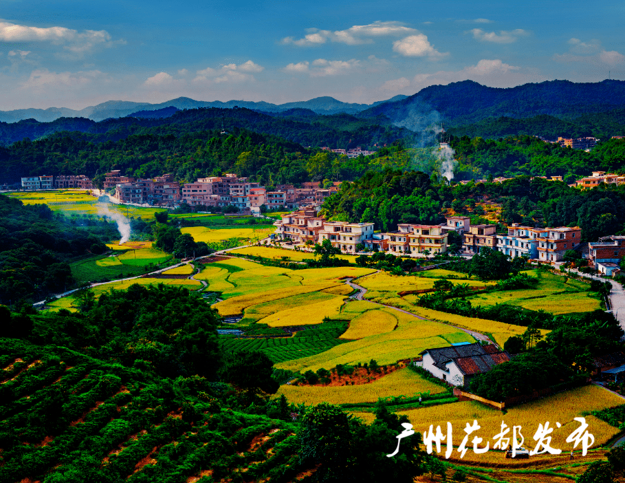 央媒看花都丨广州花都亮出五板斧助力乡村振兴
