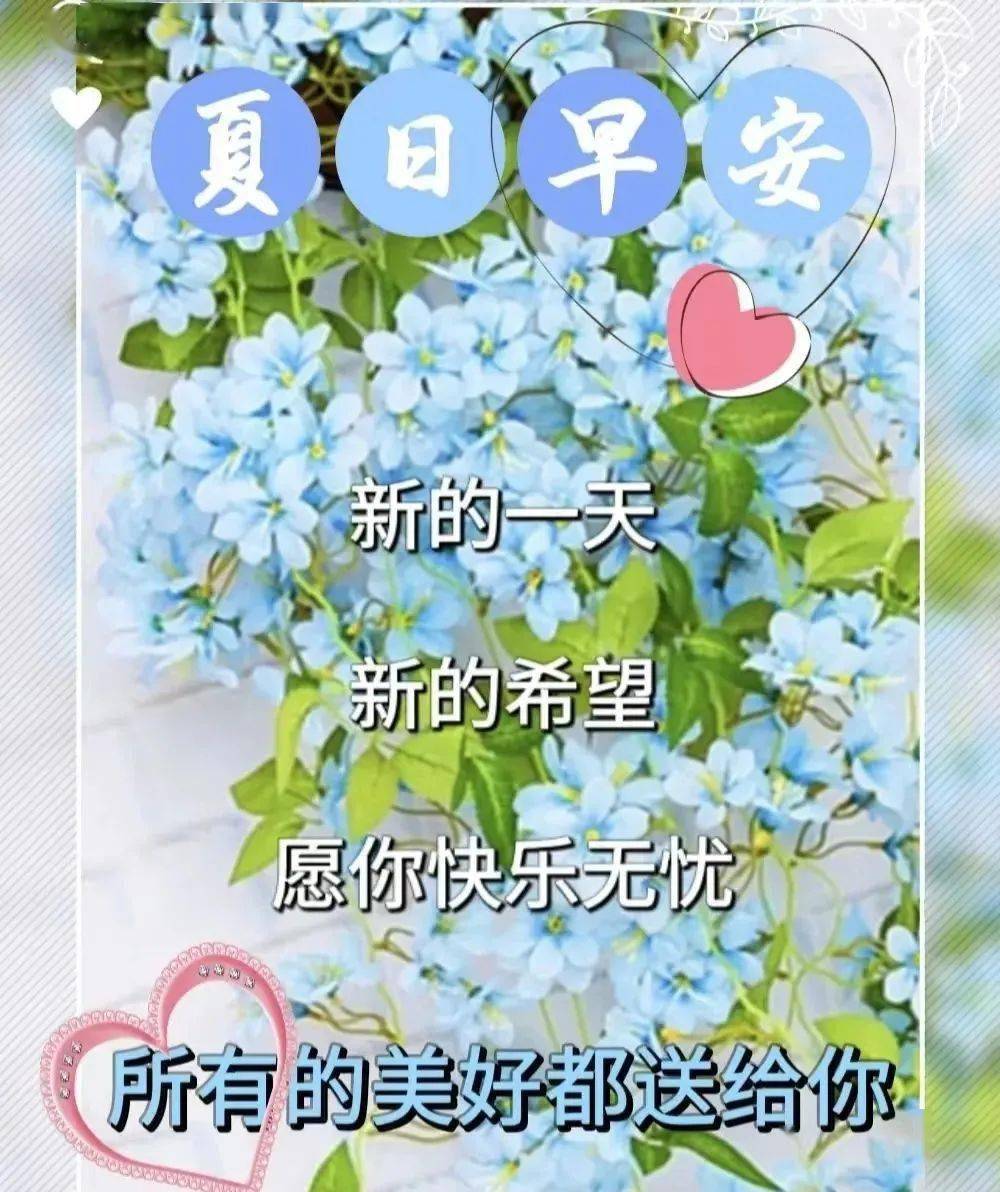 夏日炎炎创意漂亮早安图片带祝福语好看的亲人朋友圈早上好问候祝福语