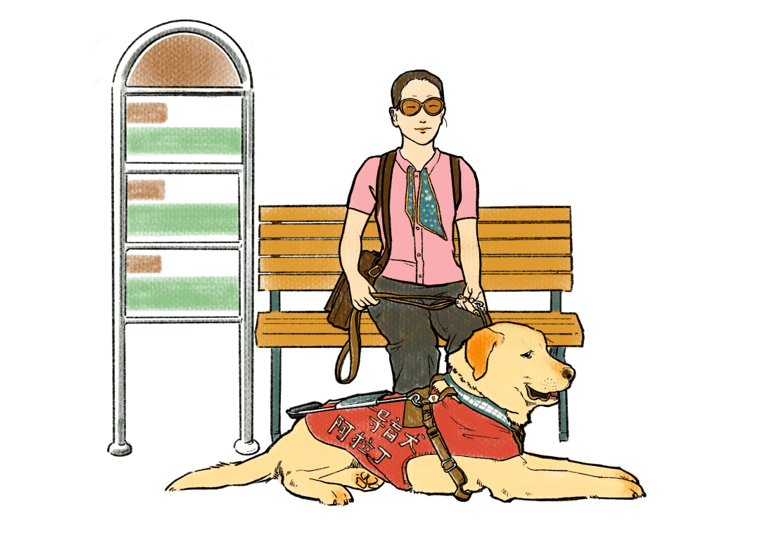 有爱无碍你好我是导盲犬阿拉丁