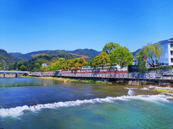 全域文明丨泰顺彭溪镇:"两最"整治不停歇 持续"扮靓"乡村新底色_分类