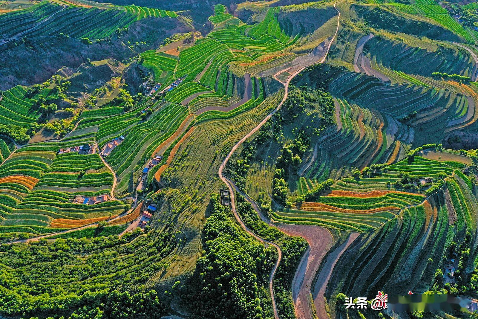 会宁县夏日梯田美如画