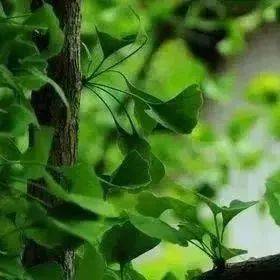 夏天的雨,落在古诗词里,醉山水,亦醉流年_黄梅县_池塘_九江