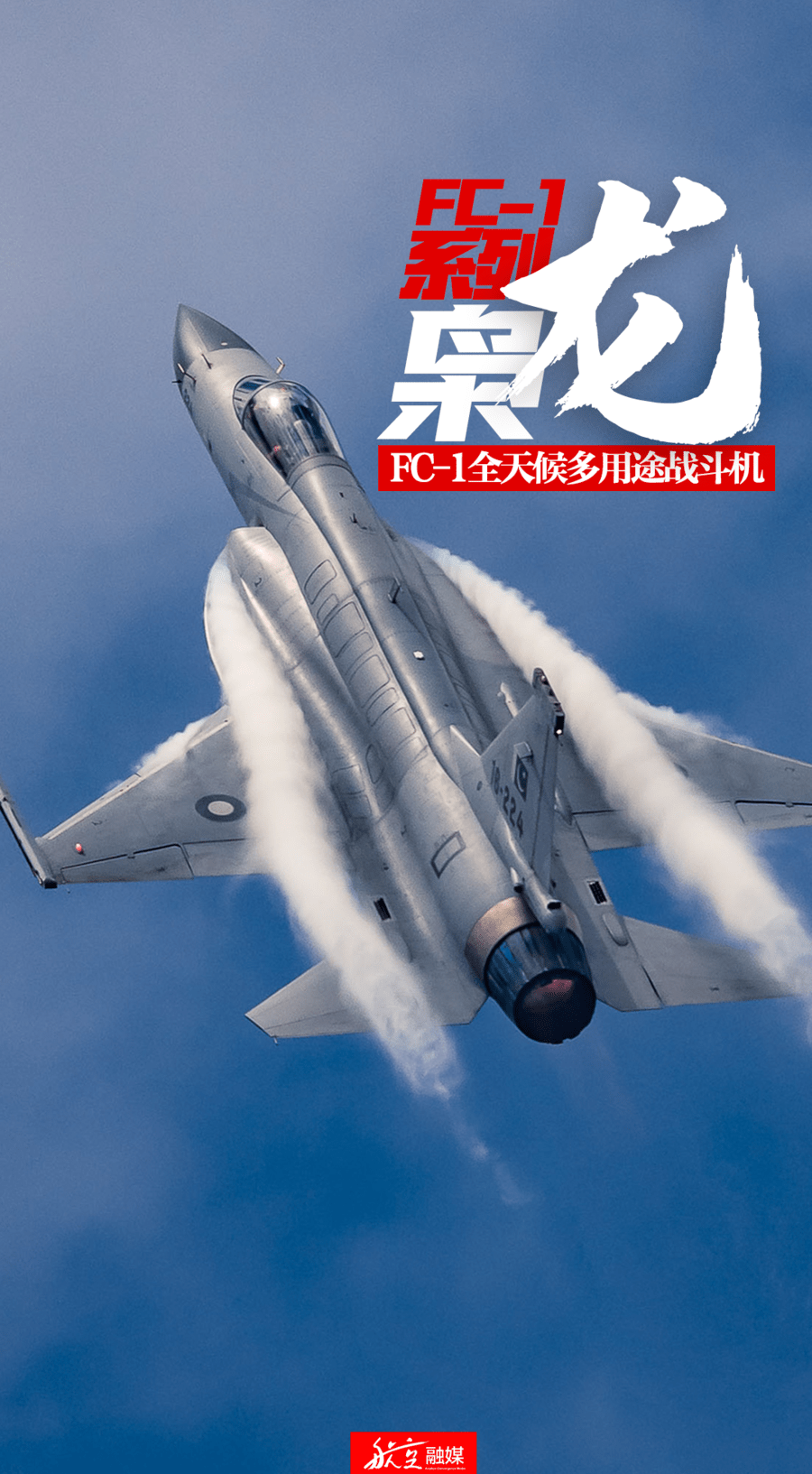 "威龙""飞鲨""鲲鹏"……国产战机如何命名?揭秘_系列_吉祥鸟_飞机