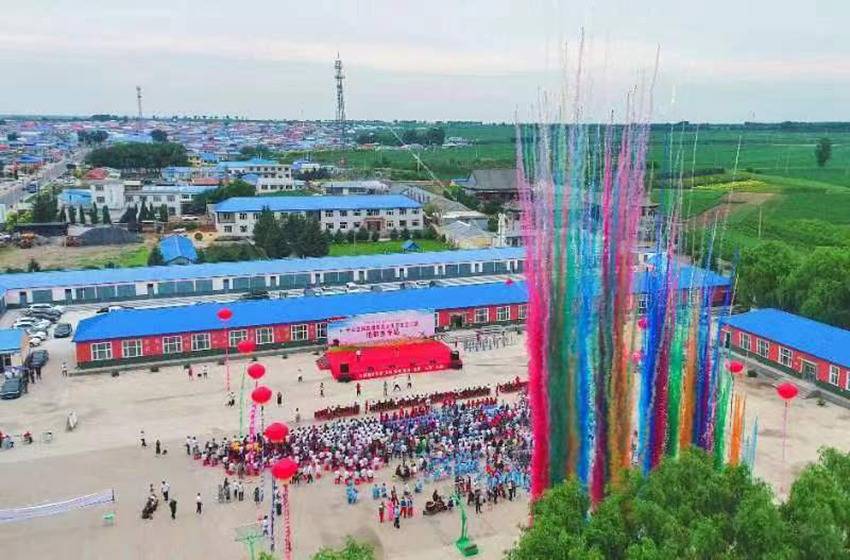 农民的节日 文化的盛会_宁江_建设_活动