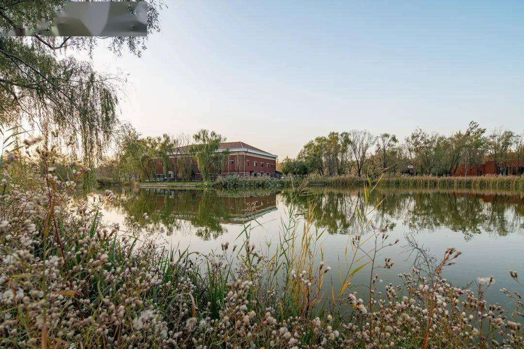 现代大学的焕新之旅 | 华润大学雄安校区改造设计_校园_景观_轴线