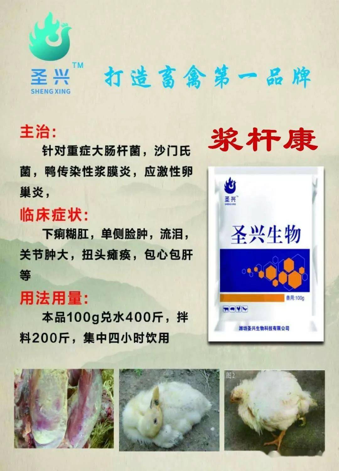 耐药性2:6小时达到血药浓度高峰,36小时明显控制死亡3:五十家规模化鸡