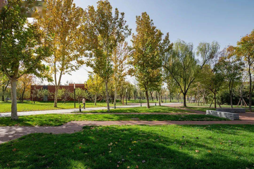 现代大学的焕新之旅 | 华润大学雄安校区改造设计_校园_景观_轴线