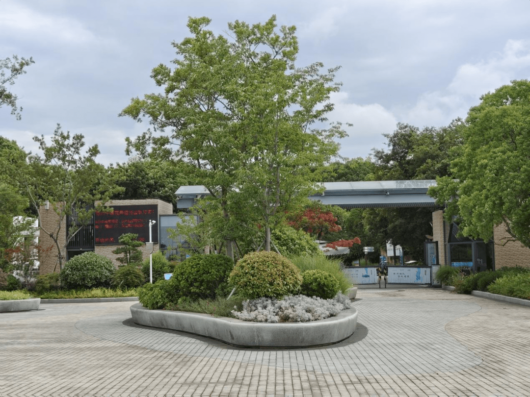 苏州_龙道浜_湿地