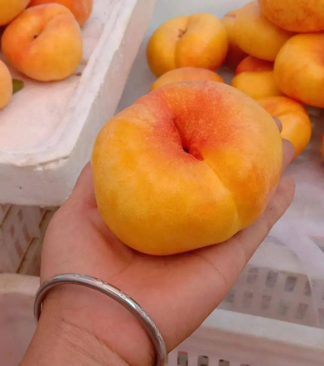 蒙阴网红黄桃 黄油蟠桃限量发售中!_口感_桃子_蜜桃