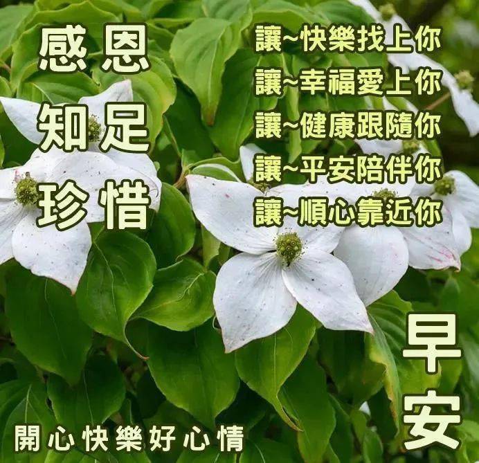 友谊早上好图片带字图片