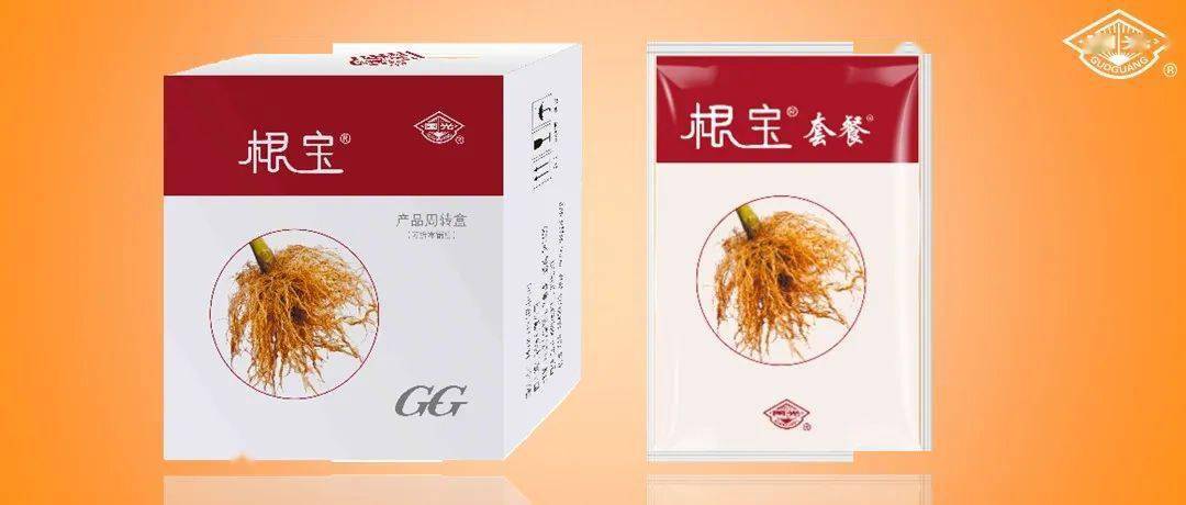 国光根宝套餐用于地黄促根壮苗试验示范