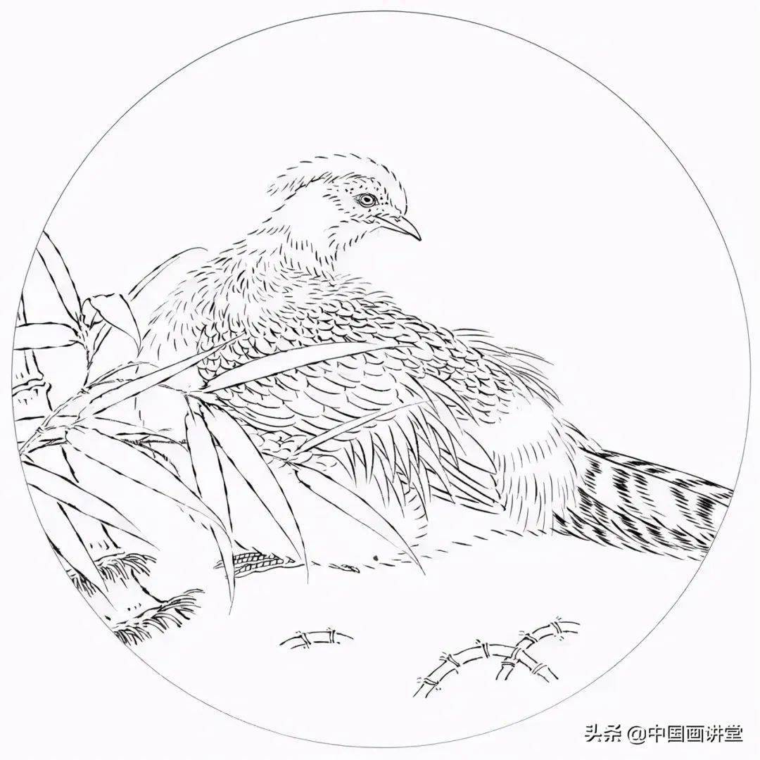 中国传统白描图谱以及白描知识及线描要求