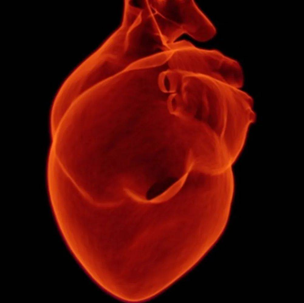 心脏再生有望实现，华人科学家发现可有效产生人类多能干细胞衍生心肌细胞新机制_张建华_研究人员_进行