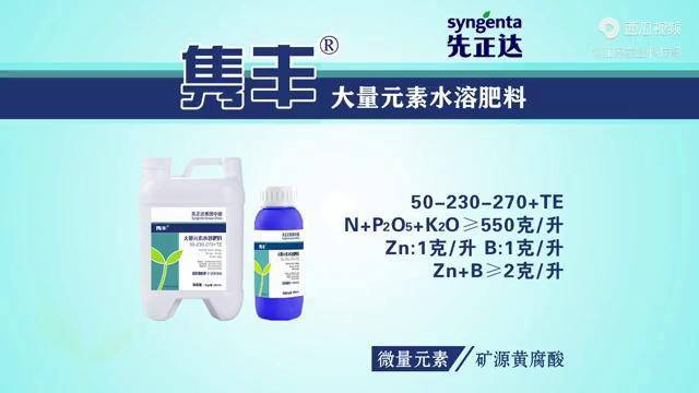 先正达"隽丰"大量元素水溶肥_隽丰_元素