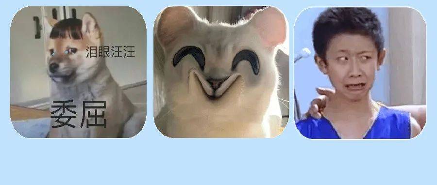 表情包 | 一秒内没回我是你爹_文案_世界_人间