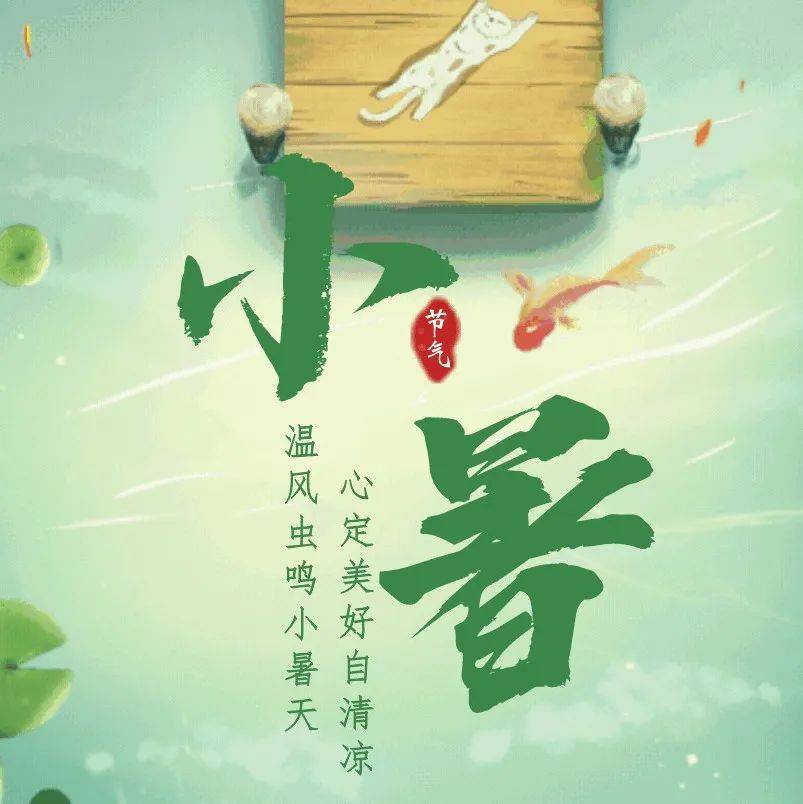 今日小暑 | 倏忽温风至，因循小暑来_宿迁_审核_生态