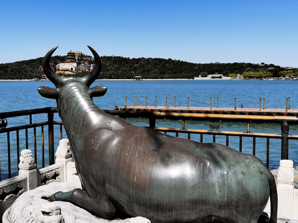 铜龙的龙珠可以让小蛇变成龙,还能让黑夜变成白天,一直守护着颐和园