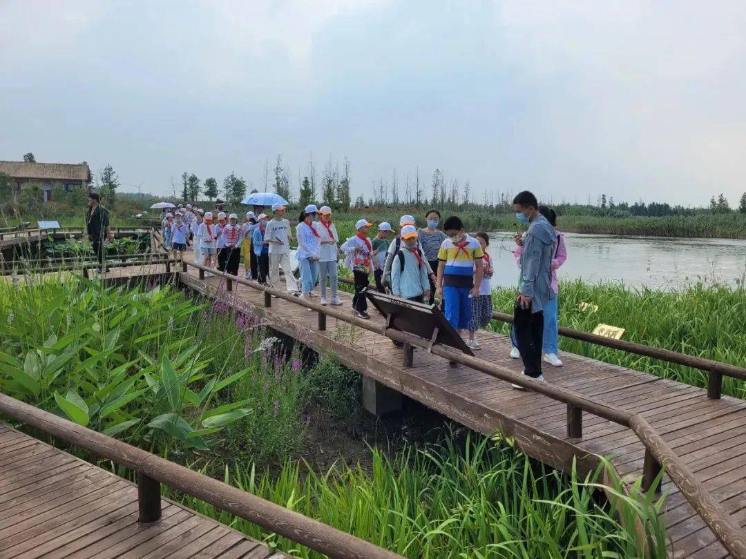 2022渌洋湖湿地公园游玩攻略,趁着来扬州喝喜酒的空隙，游...【去哪儿攻略】
