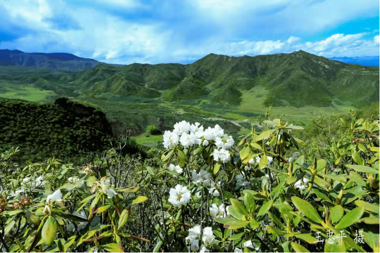 【乡村旅游】醉美逊让 烟雨尕漏_景区_逊让乡_大通
