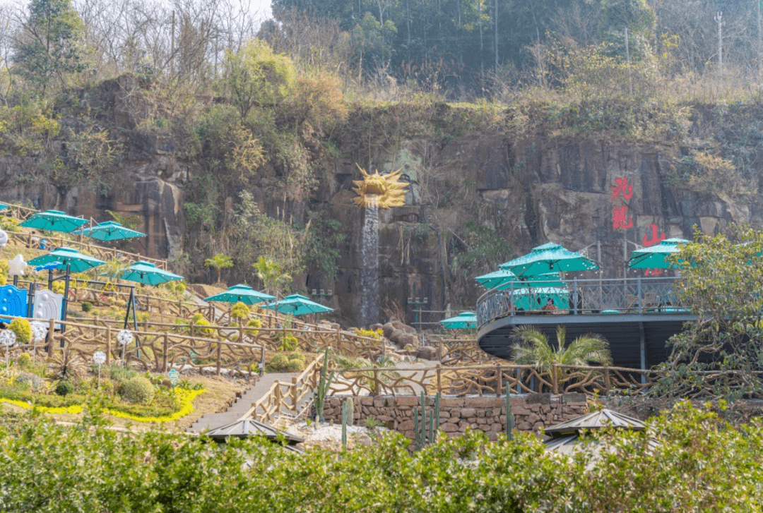 【龙泉飞龙山庄】￥79.9抢价值168元单人柴火鸡/烧烤自助2选1!