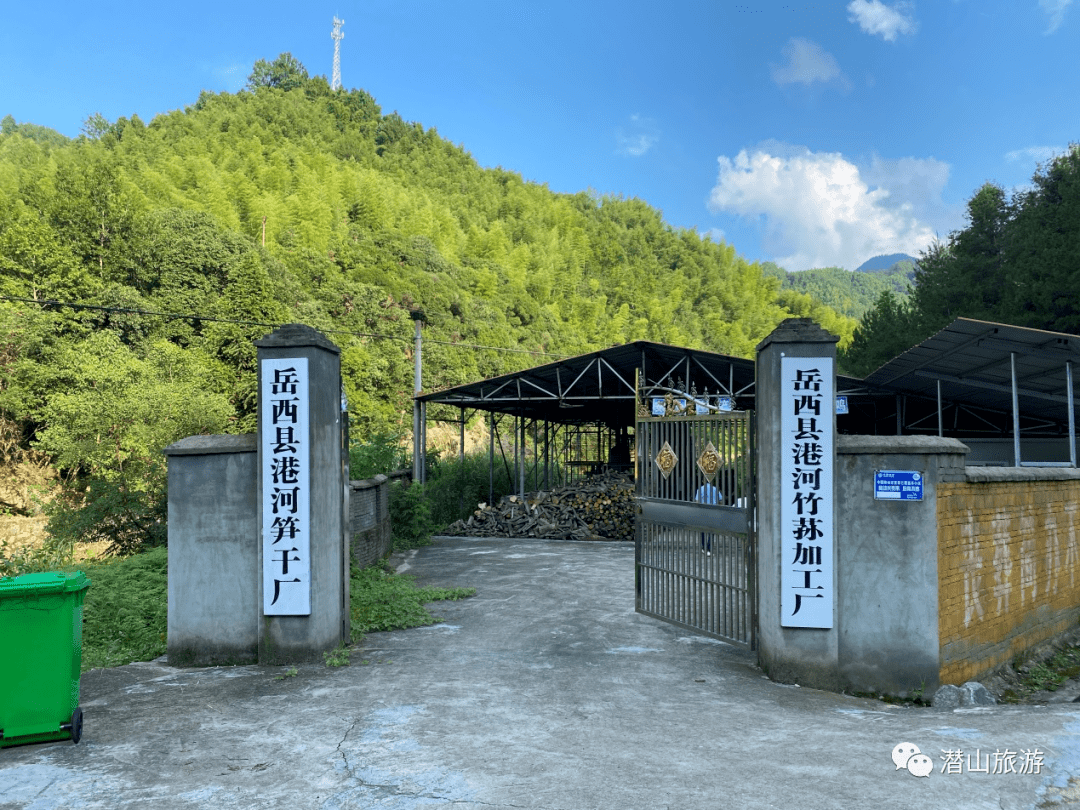 龙潭乡龙潭村赴岳西县港河村取经 助力竹笋产业发展_学习组_一行_潜山