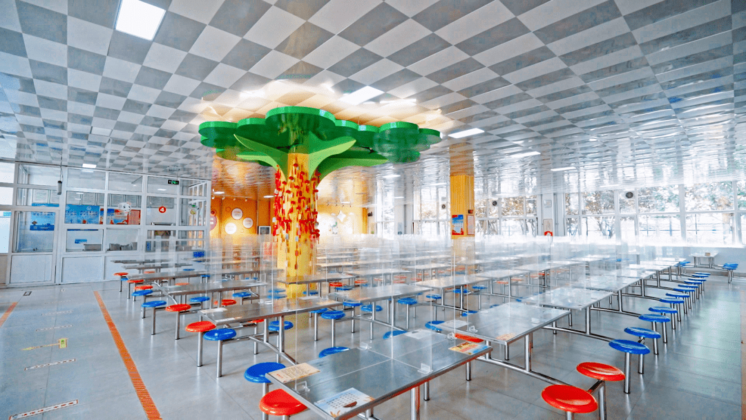 吃得饱还要吃得好青岛中小学食堂标准化