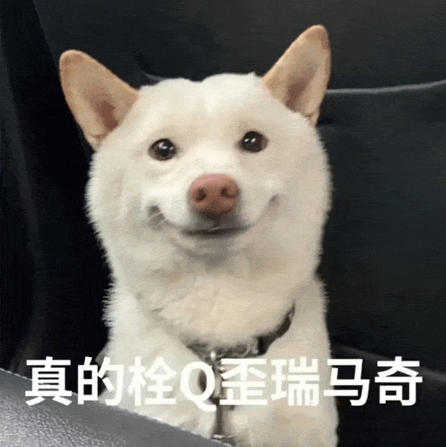 我们家卫生间里从来不放卫生纸_玫瑰花_卫生纸_卫生间