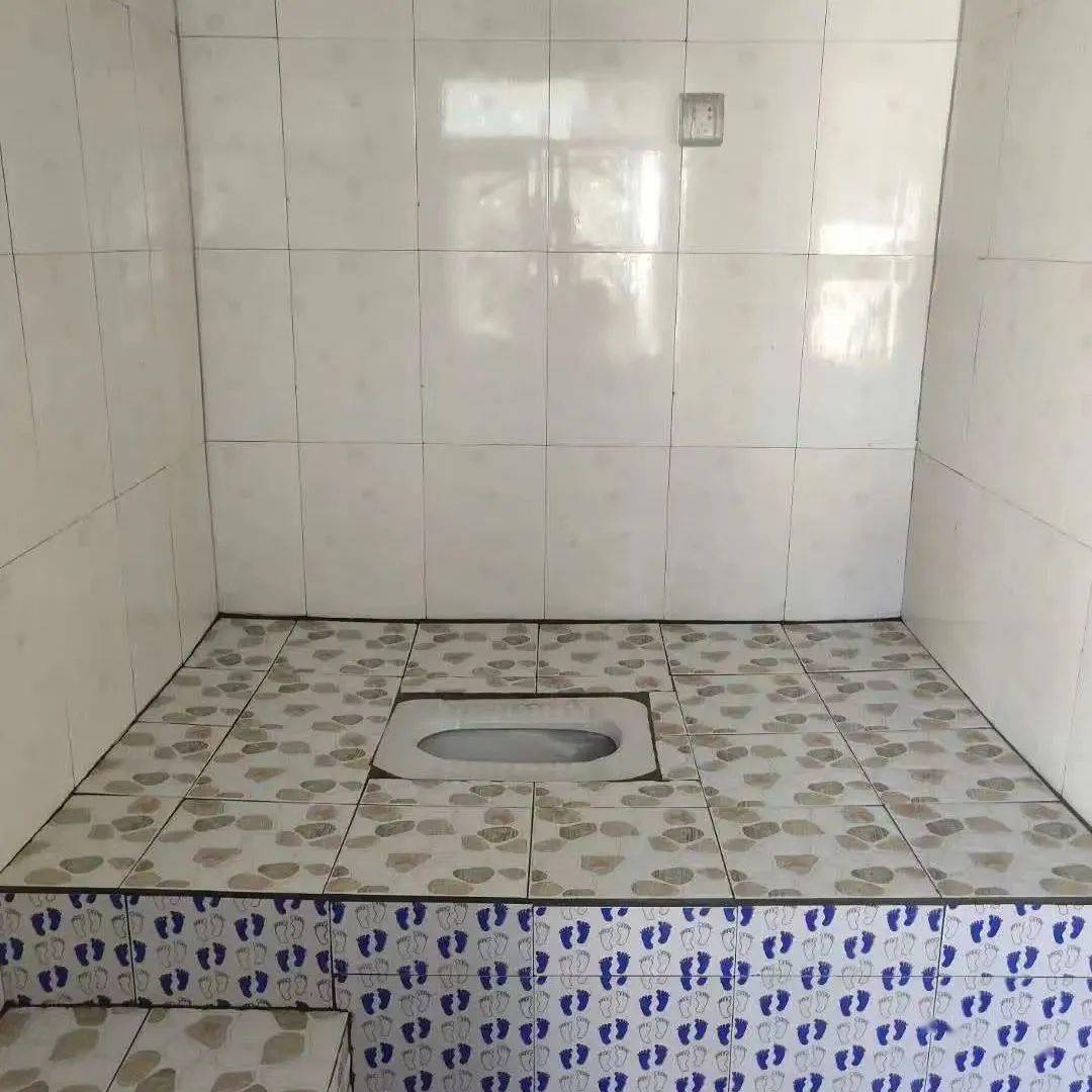 家集乡野鹊沟村高标准完成卫生厕所建设任务