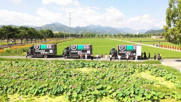 新鲜食材从田间地头直达消费者餐桌,首批1000余份“安吉优品”向全国配送_运行_平台_公司