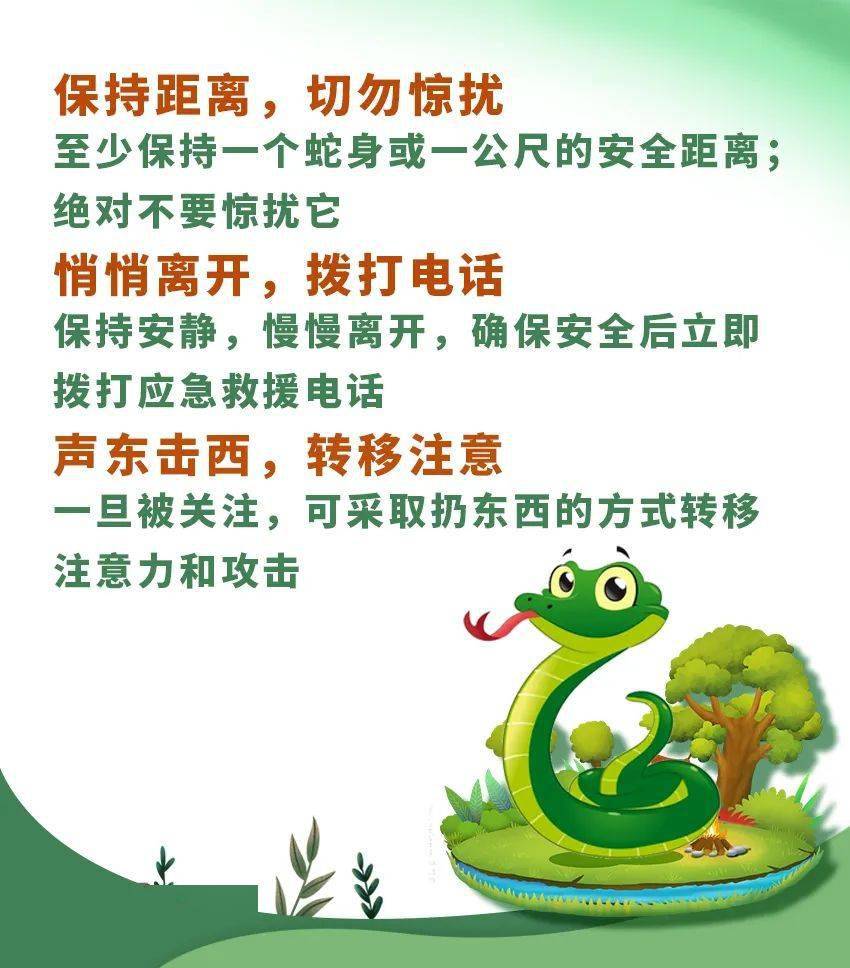 这里有"蛇出没"!