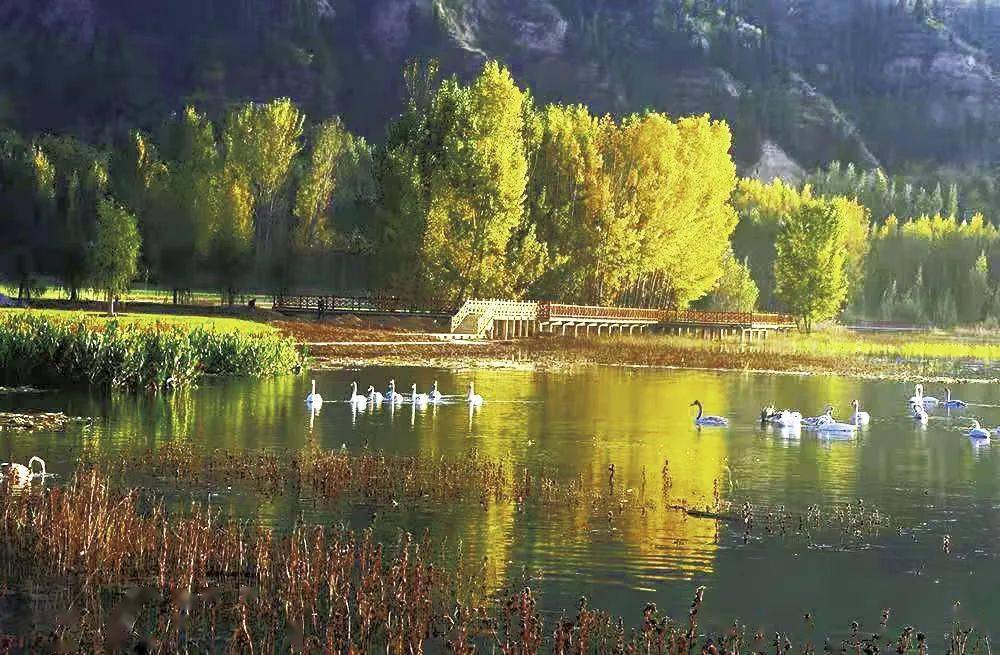 黄河湿地保护区——万荣县西滩运城市委副书记,市长储祥好调研生态