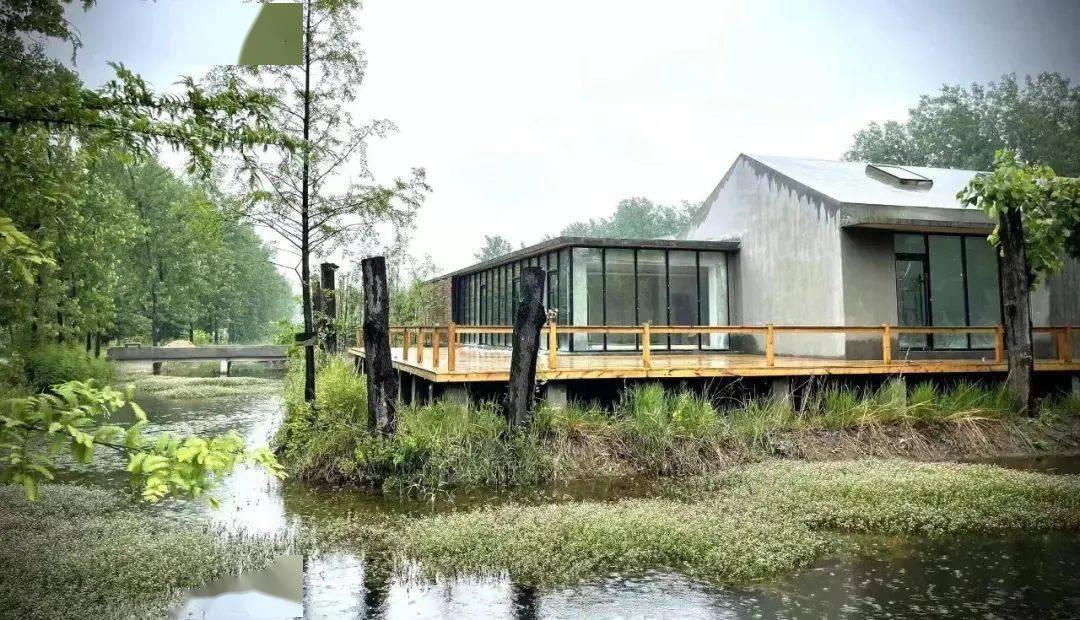 事关长丰县旅游民宿健康发展这些政策趁早了解