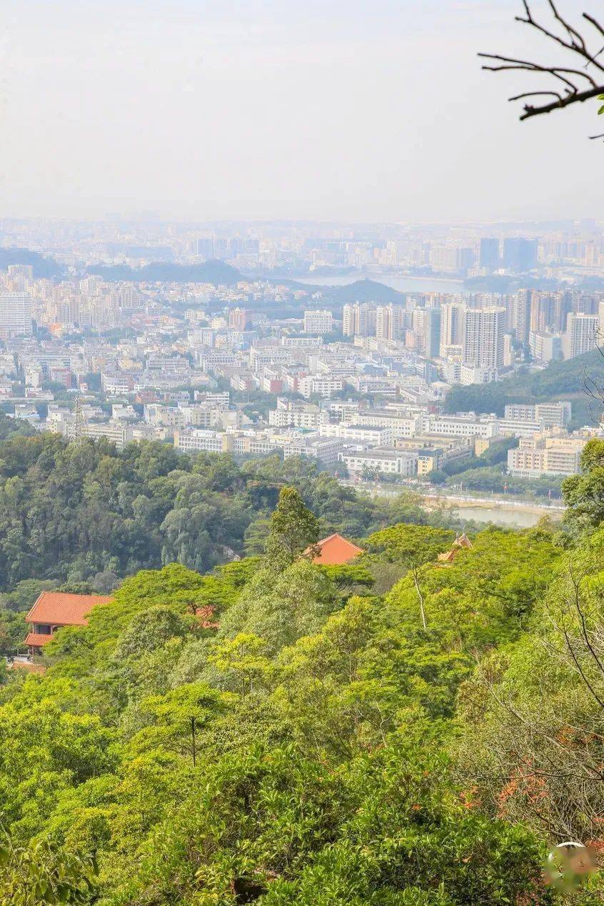 鳳凰山綠道 |綠道起點位於鳳凰山森林公園入口終點位於深圳東方英文書