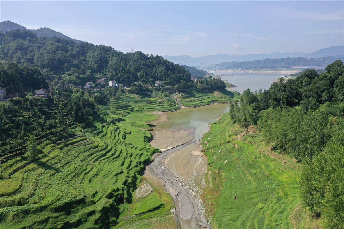 三峡库区消落带播草复绿全覆盖