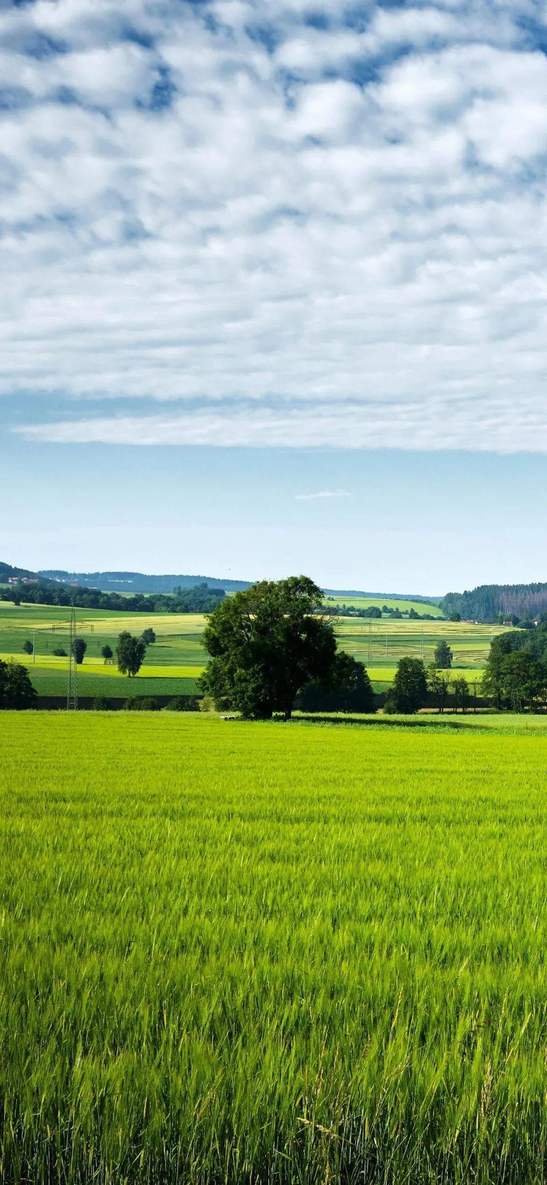 全面屏壁纸好运
